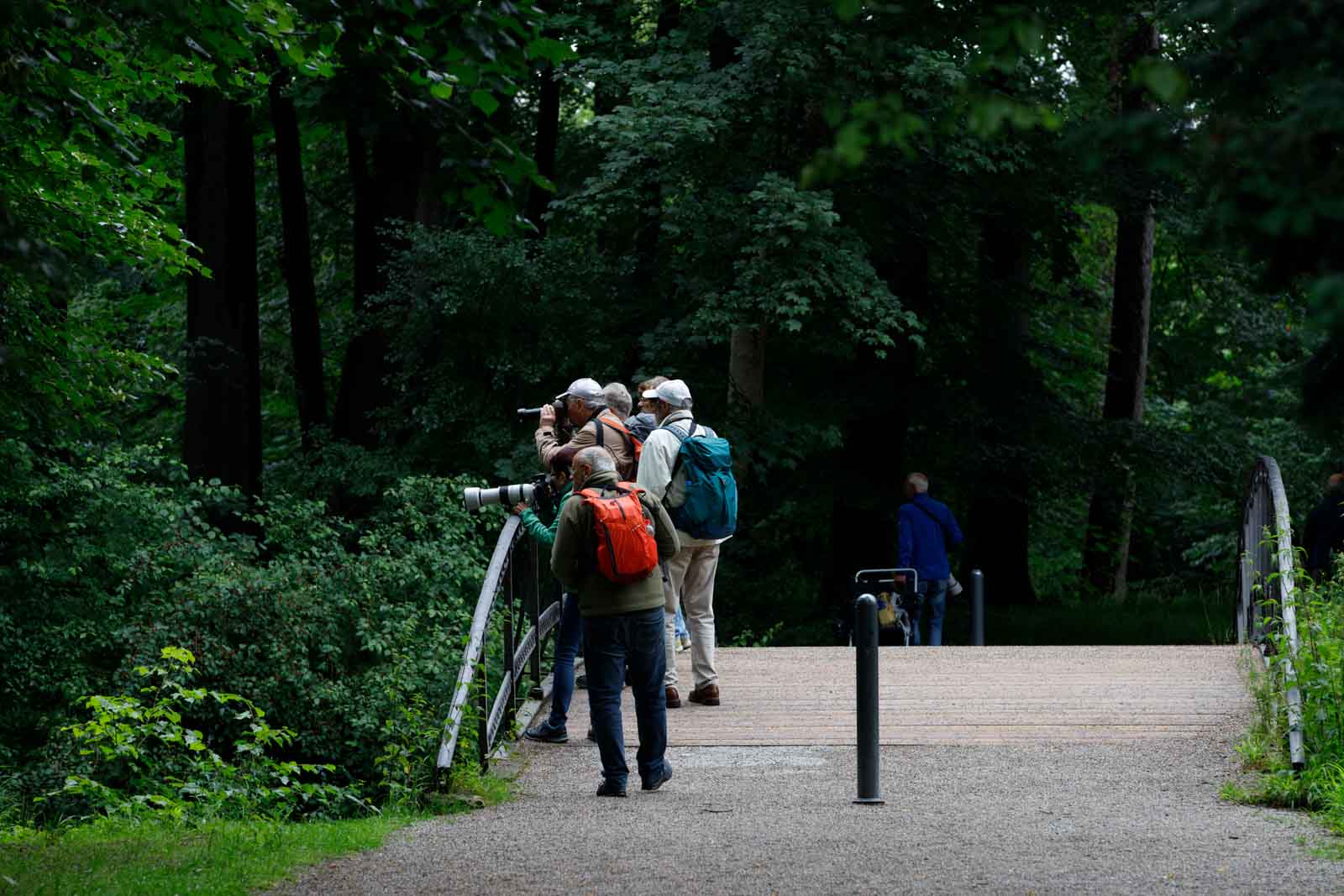 Mehr über den Artikel erfahren Fotoausflug in den Nymphenburger Park