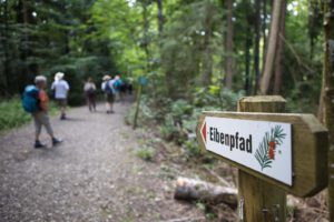 Mehr über den Artikel erfahren Ausflug zum Eibenwald Paterzell mit dem Kofel-Kamera-Club Oberammergau