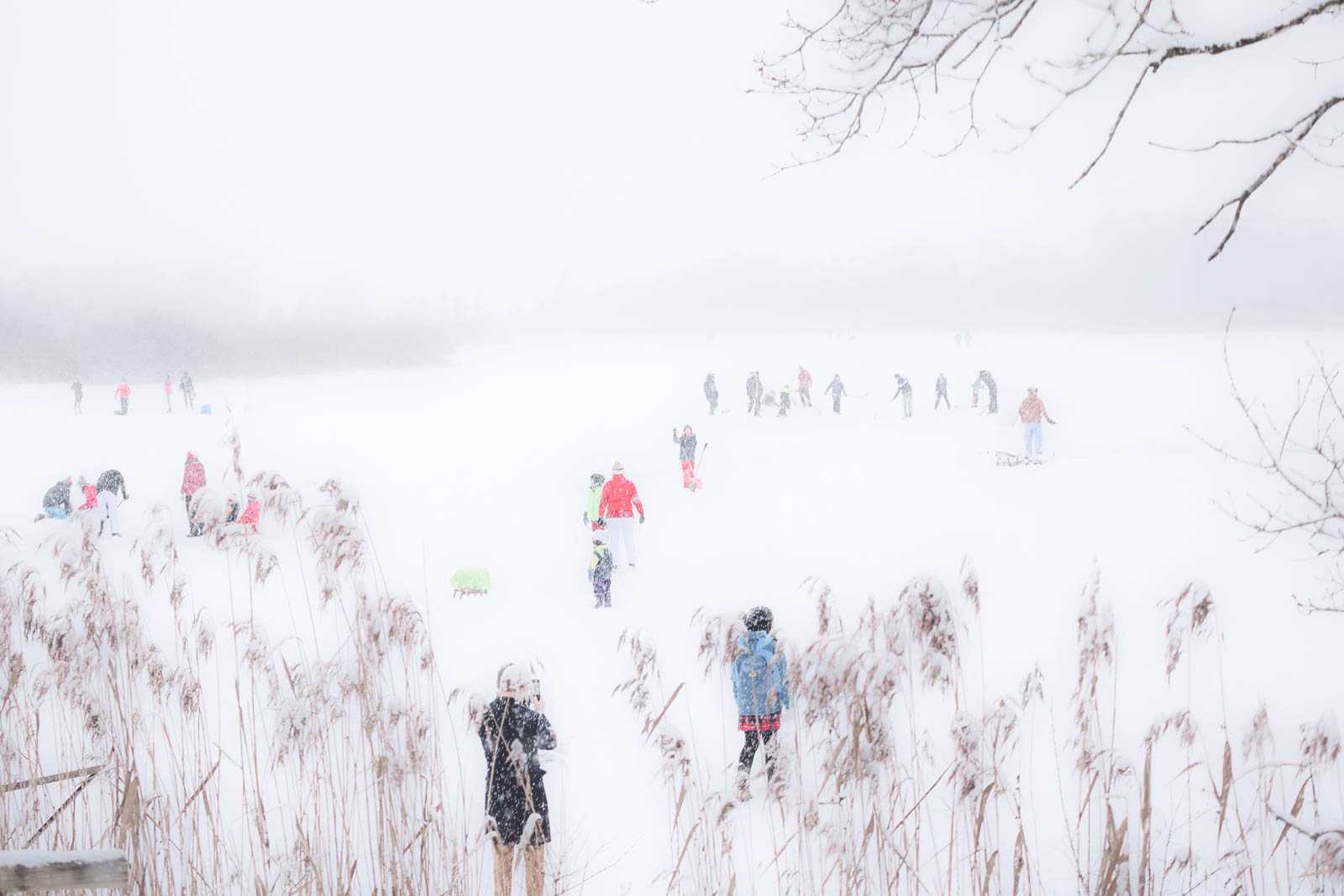 Du betrachtest gerade Ergebnisse 4. Quartalswettbewerb 2025 – High Key