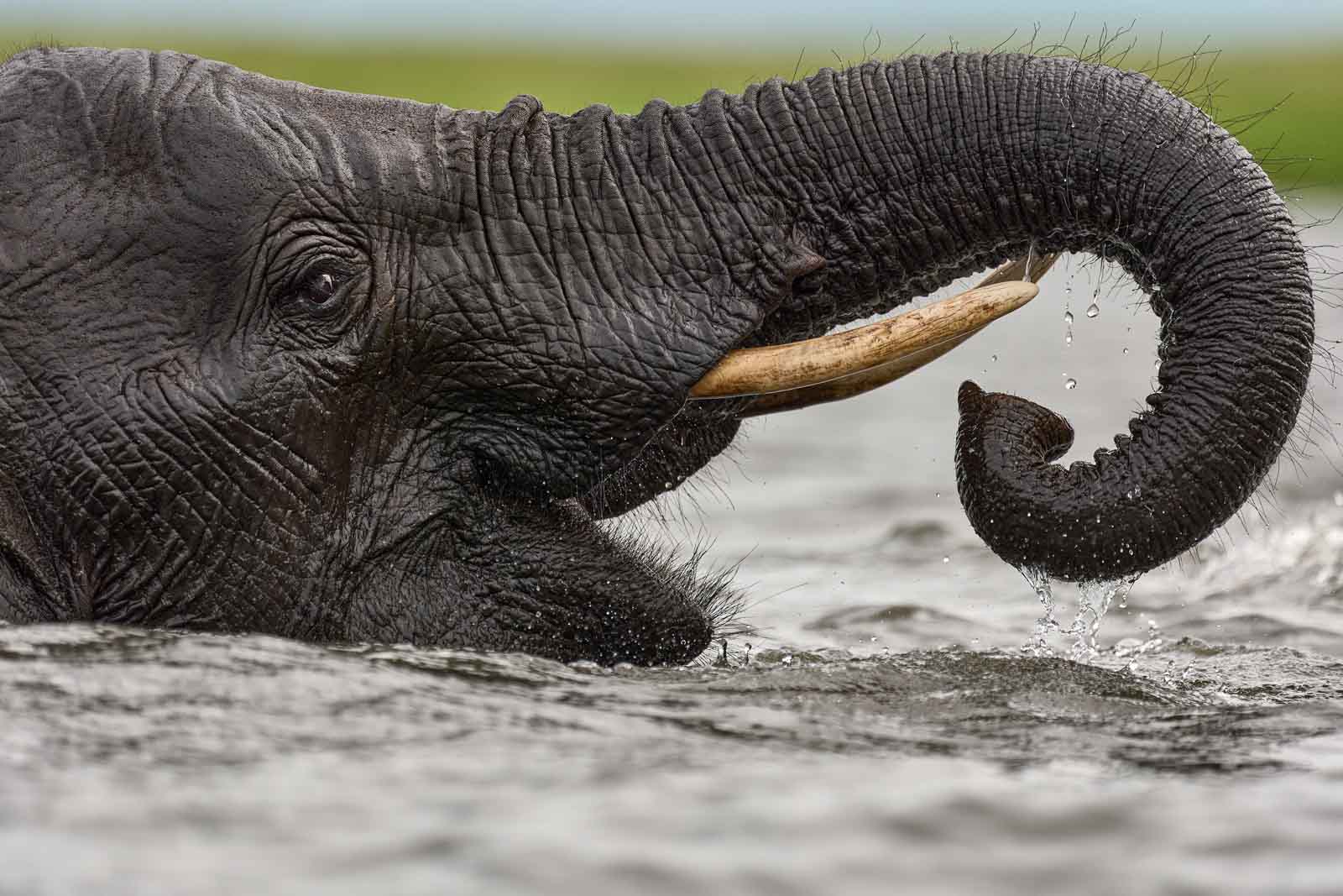 Bernd Beykirch - Botswana