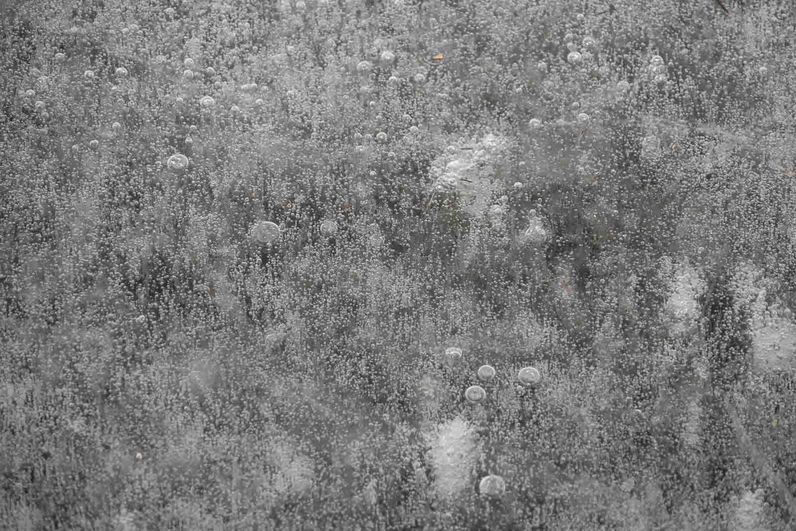 Monika Panzer - Die Natur als Künstler