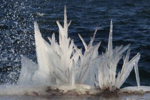 Mehr über den Artikel erfahren Ergebnisse 1. Quartalswettbewerb 2026 – Winterzauber