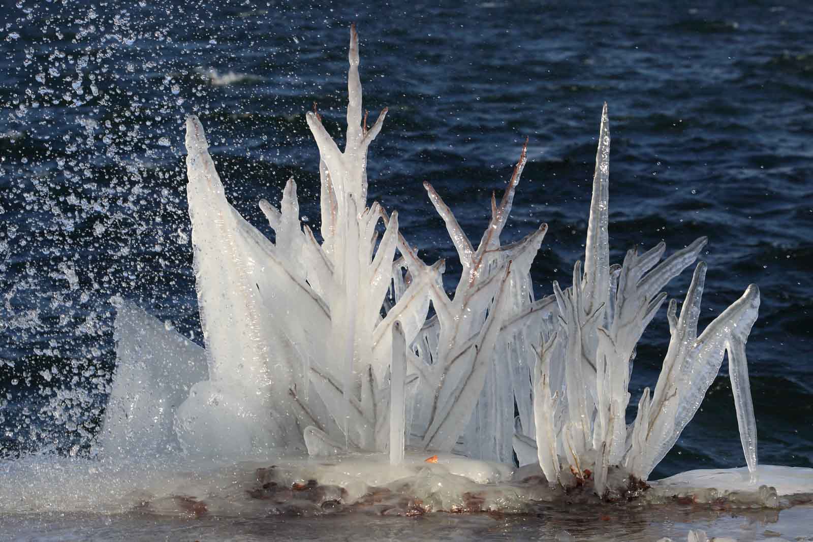 Du betrachtest gerade Ergebnisse 1. Quartalswettbewerb 2026 – Winterzauber