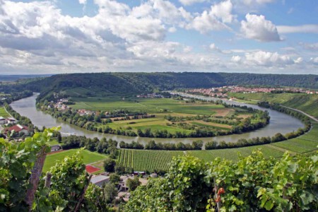 2. Platz: Helga Engel - Neckarschleife Mundelsheim