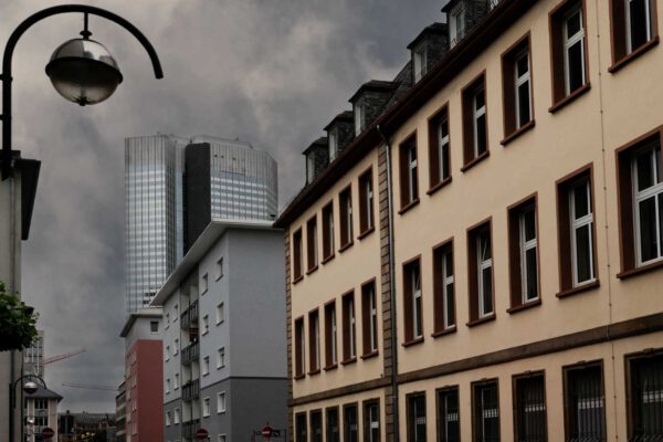 Petra Bauer - Frankfurt am Main 2025